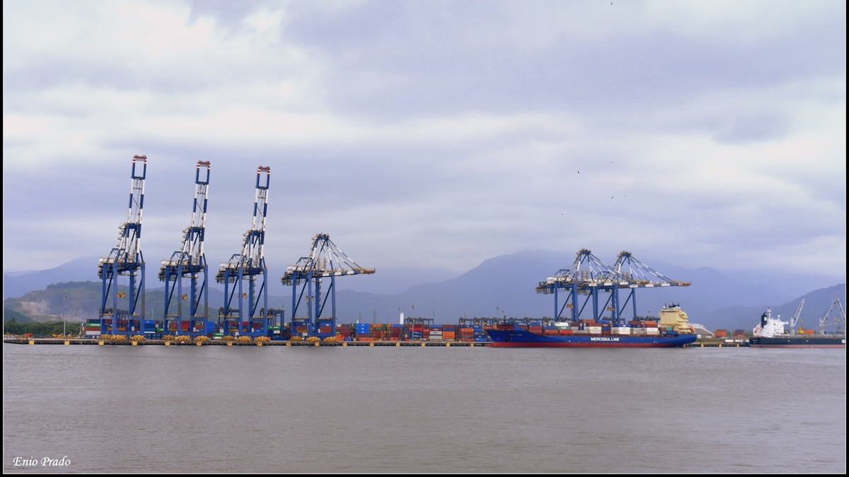 Porto de Santos — Foto: Enio Prado/Wikimedia Commons (CC BY-SA 2.0)